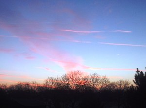 Winter sunrise. Hope in the sky.