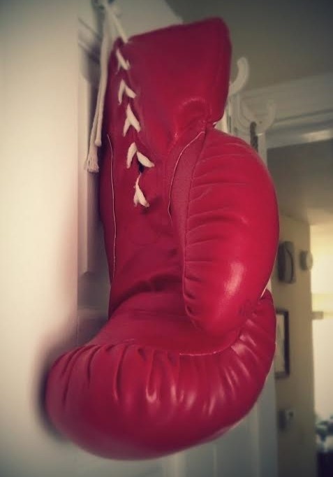 boxing glove (2)